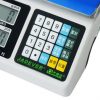 JCL Counting Scale 4
